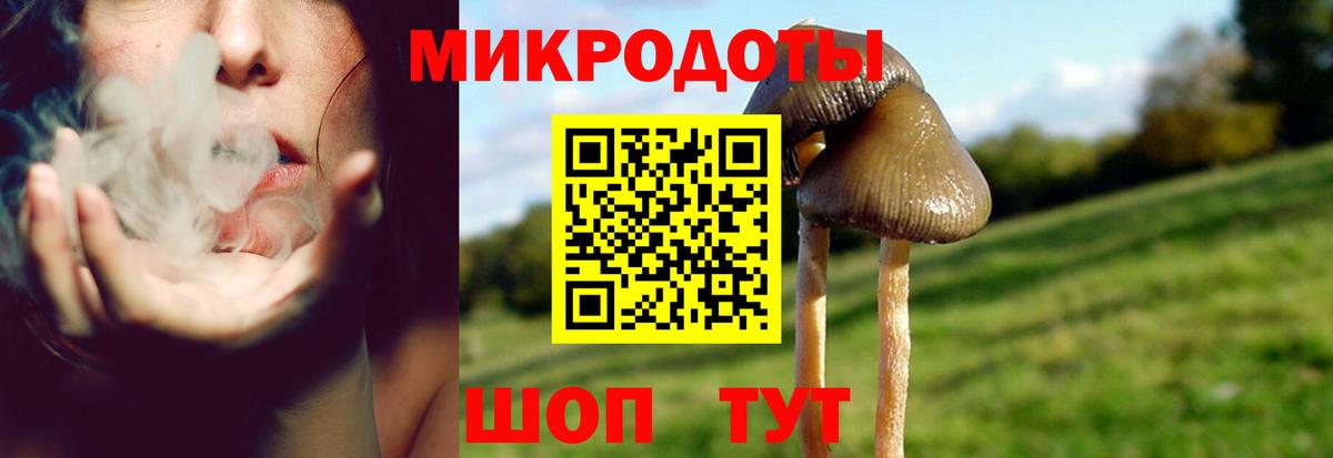 Галлюциногенные грибы прущие грибы  цена   Новоалтайск  Вход с VPN 